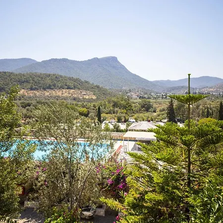 Apartment Lovely Flat With Pool And Nature View In Bodrum Golturkbuku